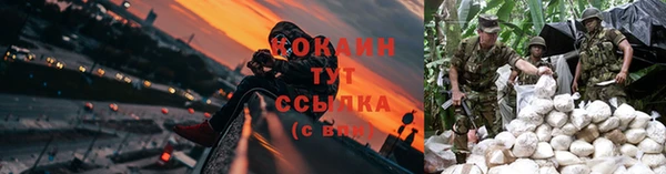 марки nbome Новодвинск
