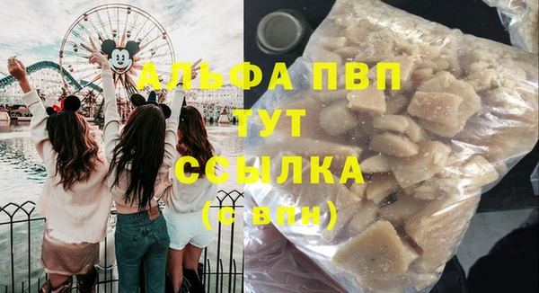 хмурый Няндома