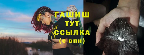 хмурый Няндома
