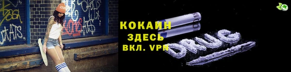 хмурый Няндома