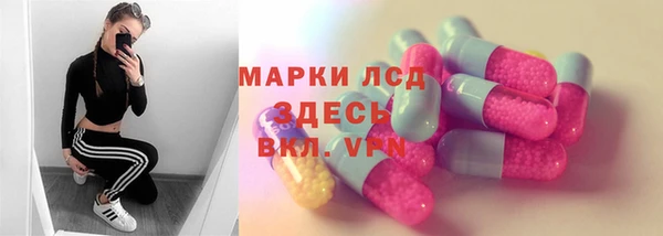 хмурый Няндома
