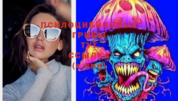 spice Нягань